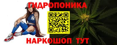 бошки Можга