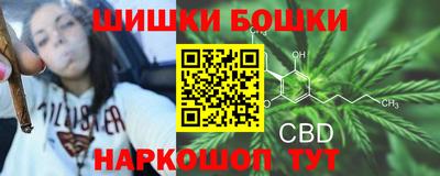 бошки Можга